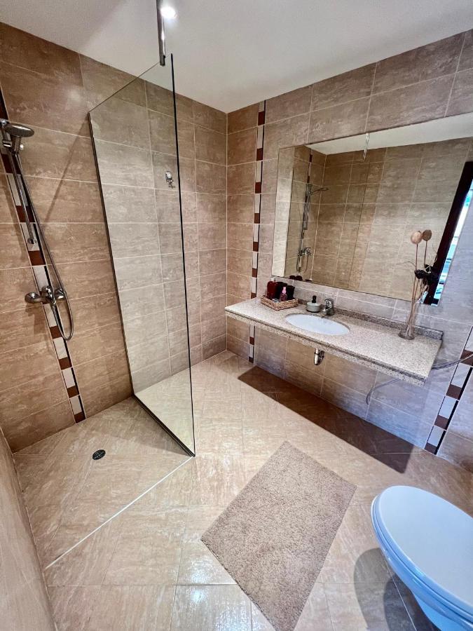 Luxury Apartment Pirin Chalet In Terra Complex Μπάνσκο Εξωτερικό φωτογραφία